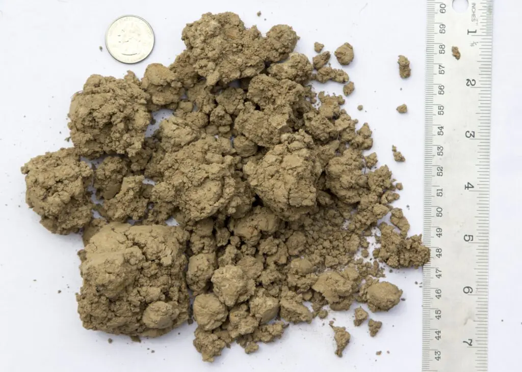 Contractor Topsoil 6