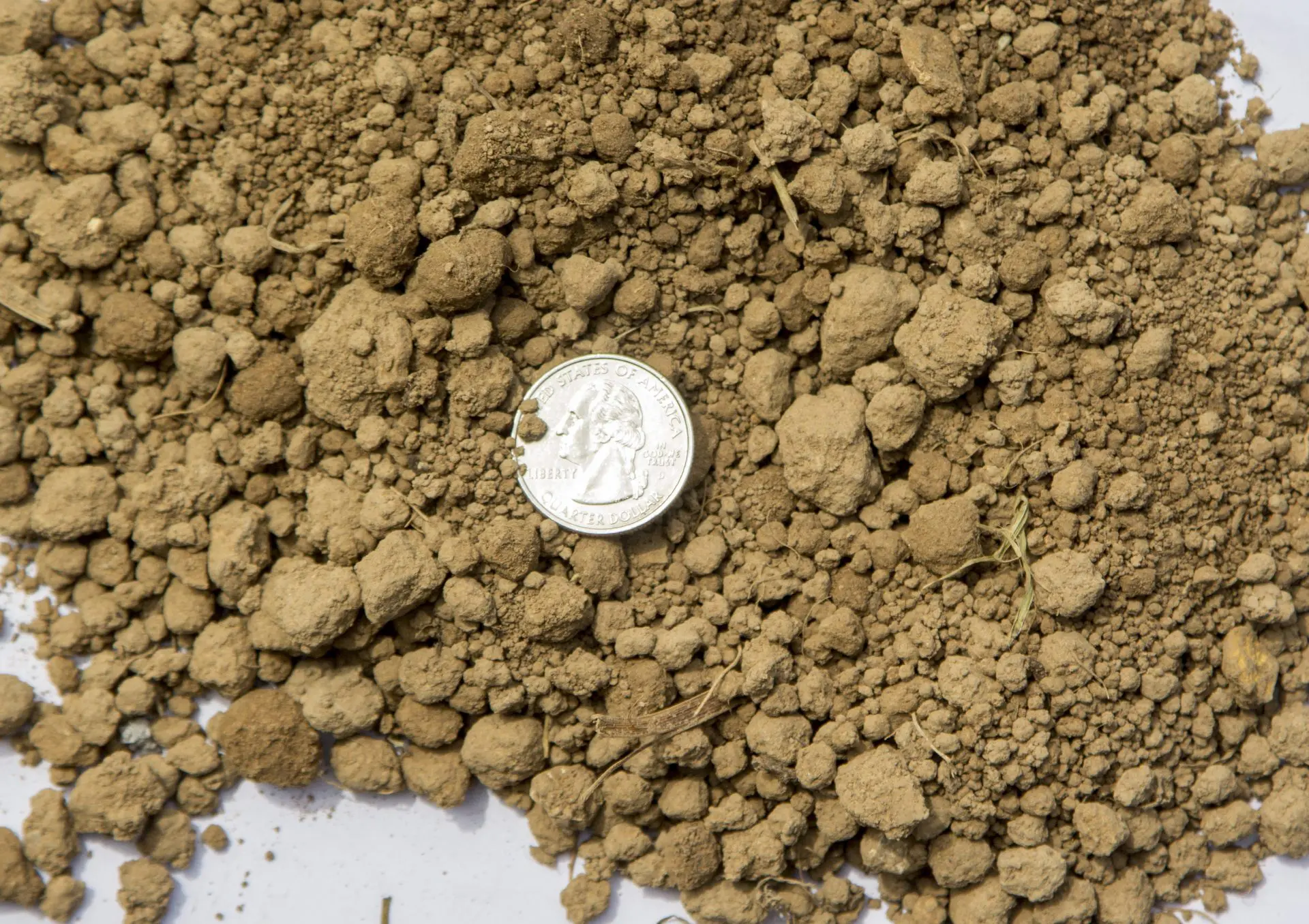 Screened Topsoil 10