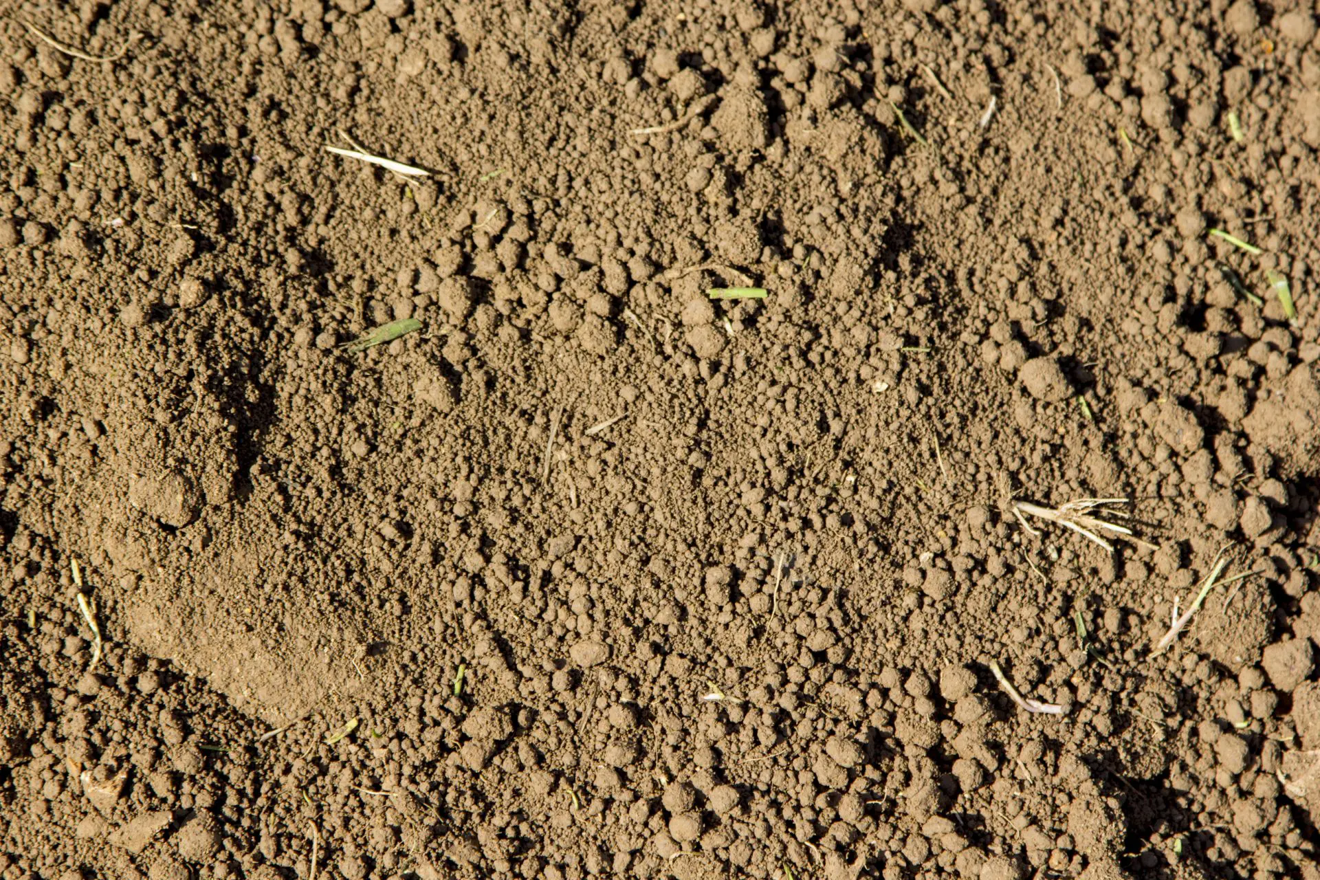 Screened Topsoil 13