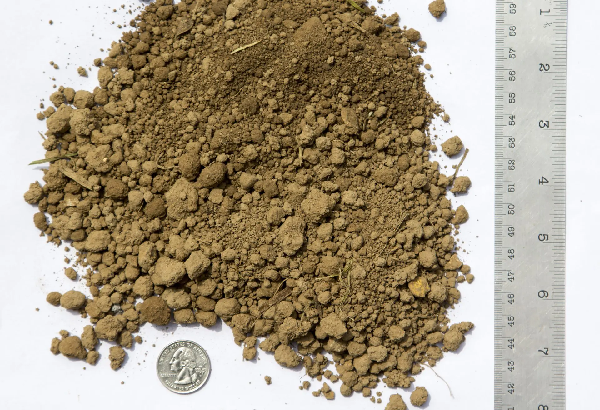 Screened Topsoil 7