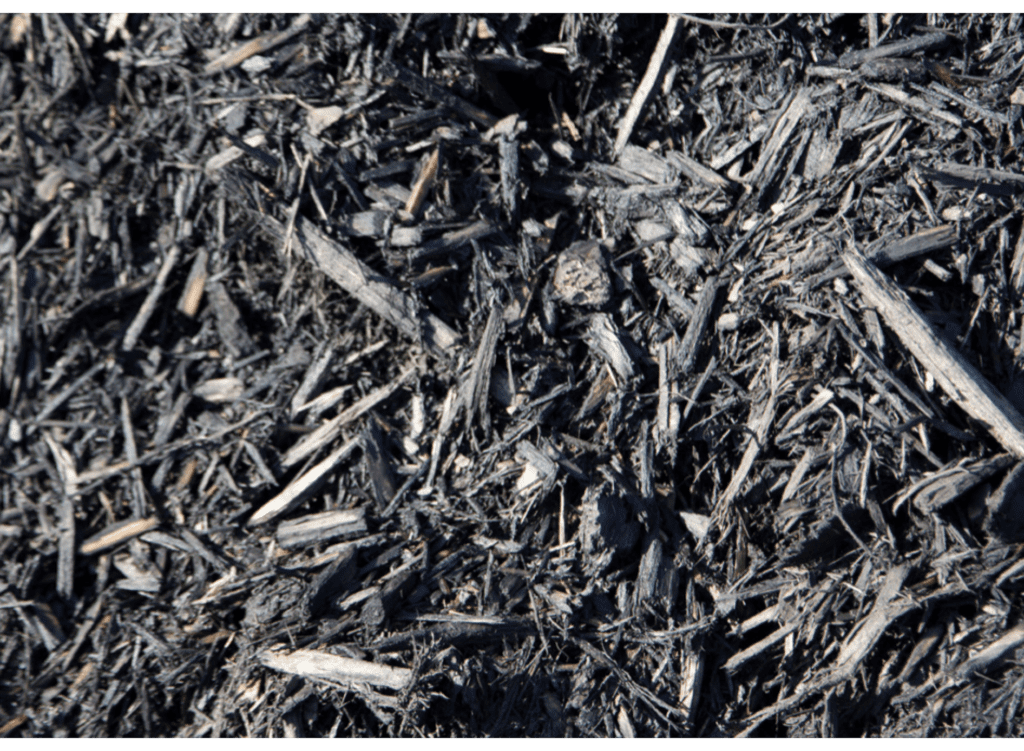 Midnight Black Mulch