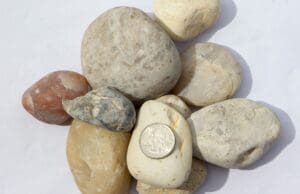 Alabama Sunset – 2 to 3 Inch