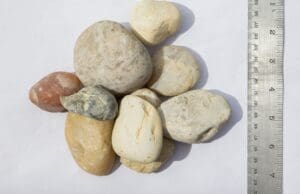 Alabama Sunset – 2 to 3 Inch