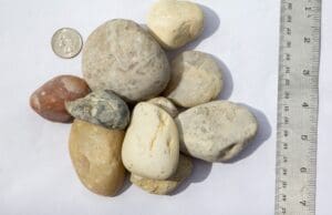 Alabama Sunset – 2 to 3 Inch