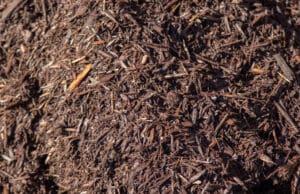 Brown Mulch