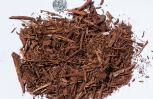 Red Mulch