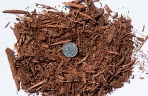 Red Mulch
