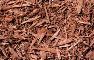 Red Mulch