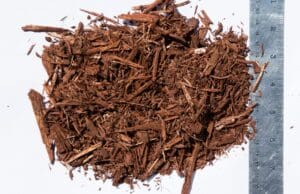 Red Mulch